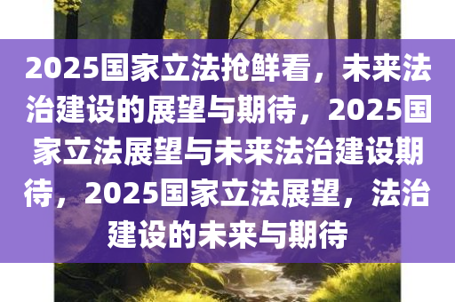 2025国家立法抢鲜看，未来法治建设的展望与期待，2025国家立法展望与未来法治建设期待，2025国家立法展望，法治建设的未来与期待