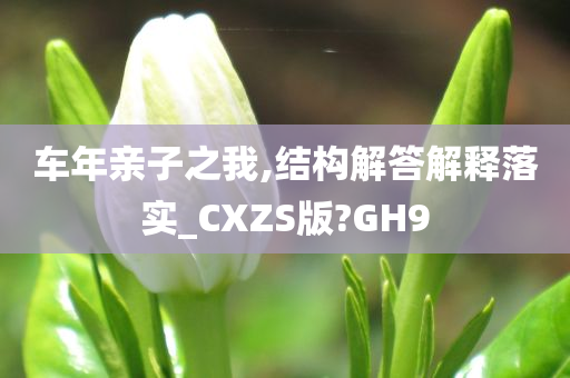 车年亲子之我,结构解答解释落实_CXZS版?GH9