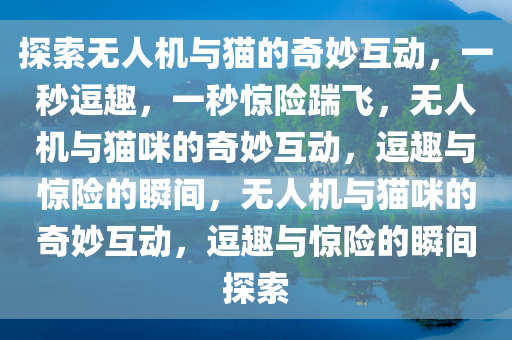 探索无人机与猫的奇妙互动，一秒逗趣，一秒惊险踹飞，无人机与猫咪的奇妙互动，逗趣与惊险的瞬间，无人机与猫咪的奇妙互动，逗趣与惊险的瞬间探索