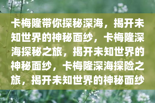 卡梅隆带你探秘深海，揭开未知世界的神秘面纱，卡梅隆深海探秘之旅，揭开未知世界的神秘面纱，卡梅隆深海探险之旅，揭开未知世界的神秘面纱
