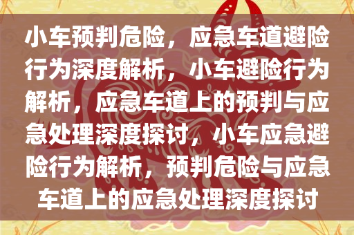 小车预判危险，应急车道避险行为深度解析，小车避险行为解析，应急车道上的预判与应急处理深度探讨，小车应急避险行为解析，预判危险与应急车道上的应急处理深度探讨