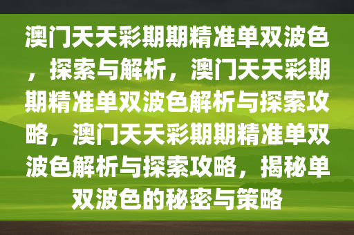 澳门天天彩期期精准单双波色，探索与解析，澳门天天彩期期精准单双波色解析与探索攻略，澳门天天彩期期精准单双波色解析与探索攻略，揭秘单双波色的秘密与策略