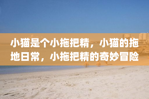 小猫是个小拖把精，小猫的拖地日常，小拖把精的奇妙冒险今晚必出三肖2025_2025新澳门精准免费提供·精确判断