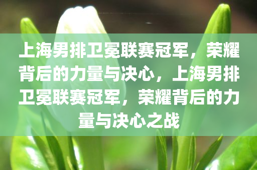 上海男排卫冕联赛冠军，荣耀背后的力量与决心，上海男排卫冕联赛冠军，荣耀背后的力量与决心之战