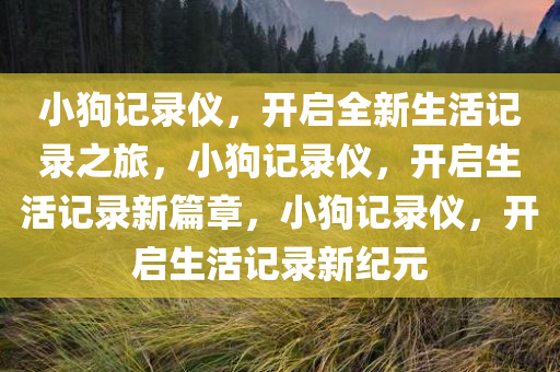 小狗记录仪，开启全新生活记录之旅，小狗记录仪，开启生活记录新篇章，小狗记录仪，开启生活记录新纪元今晚必出三肖2025_2025新澳门精准免费提供·精确判断