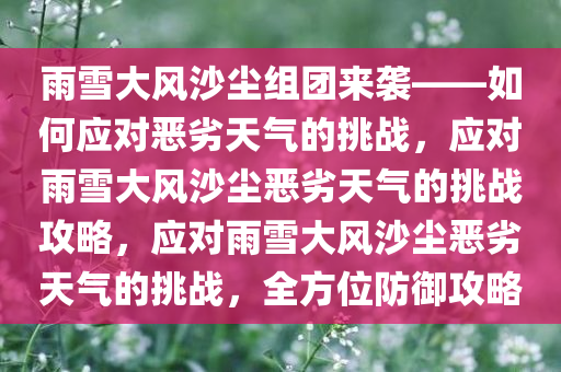 雨雪大风沙尘组团来袭——如何应对恶劣天气的挑战，应对雨雪大风沙尘恶劣天气的挑战攻略，应对雨雪大风沙尘恶劣天气的挑战，全方位防御攻略