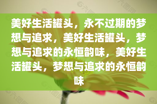 美好生活罐头，永不过期的梦想与追求，美好生活罐头，梦想与追求的永恒韵味，美好生活罐头，梦想与追求的永恒韵味今晚必出三肖2025_2025新澳门精准免费提供·精确判断