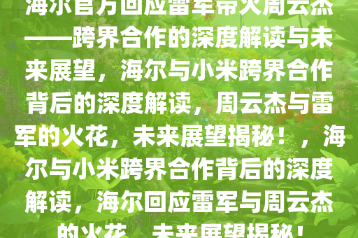 海尔官方回应雷军带火周云杰——跨界合作的深度解读与未来展望，海尔与小米跨界合作背后的深度解读，周云杰与雷军的火花，未来展望揭秘！，海尔与小米跨界合作背后的深度解读，海尔回应雷军与周云杰的火花，未来展望揭秘！