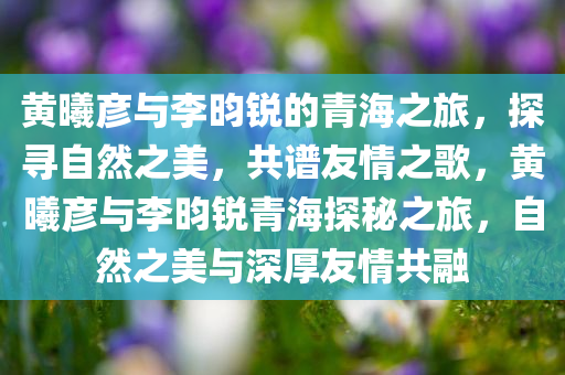 黄曦彦与李昀锐的青海之旅，探寻自然之美，共谱友情之歌，黄曦彦与李昀锐青海探秘之旅，自然之美与深厚友情共融