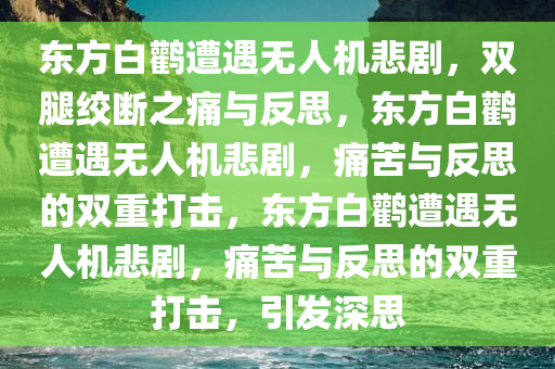 东方白鹳遭遇无人机悲剧，双腿绞断之痛与反思，今晚必出三肖2025_2025新澳门精准免费提供·精确判断东方白鹳遭遇无人机悲剧，痛苦与反思的双重打击，东方白鹳遭遇无人机悲剧，痛苦与反思的双重打击，引发深思