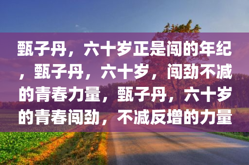 甄子丹，六十岁正是闯的年纪，甄子丹，六十岁，闯劲不减的青春力量，甄子丹，六十岁的青春闯劲，不减反增的力量