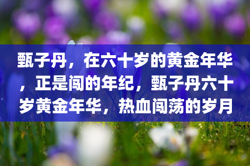甄子丹，在六十岁的黄金年华，正是闯的年纪，甄子丹六十岁黄金年华，热血闯荡的岁月今晚必出三肖2025_2025新澳门精准免费提供·精确判断
