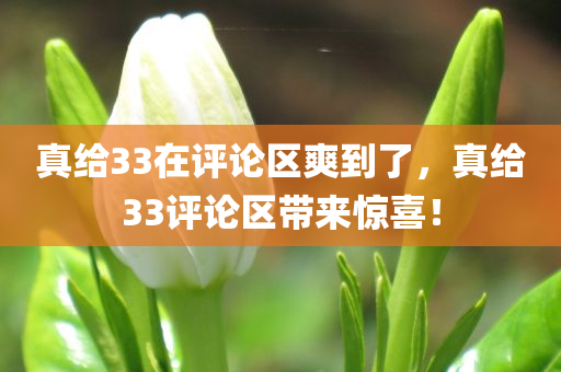 真给33在评论区爽到了，真给33评论区带来惊喜！