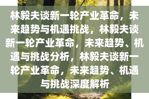 林毅夫谈新一轮产业革命，未来趋势与机遇挑战，林毅夫谈新一轮产业革命，未来趋势、机遇与挑战分析，林毅夫谈新一轮产业革命，未来趋势、机遇与挑战深度解析