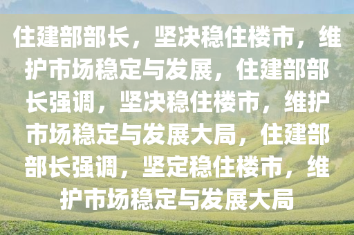 住建部部长，坚决稳住楼市，维护市场稳定与发展，住建部部长强调，坚决稳住楼市，维护市场稳定与发展大局，住建部部长强调，坚定稳住楼市，维护市场稳定与发展大局今晚必出三肖2025_2025新澳门精准免费提供·精确判断