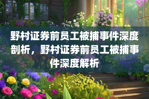 野村证券前员工被捕事件深度剖析，野村证券前员工被捕事件深度解析
