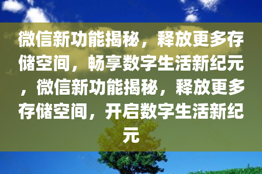 微信新功能揭秘，释放更多存储空间，畅享数字生活新纪元，微信新功能揭秘，释放更多存储空间，开启数字生活新纪元