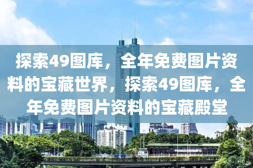 探索49图库，全年免费图片资料的宝藏世界，探索49图库，全年免费图片资料的宝藏殿堂