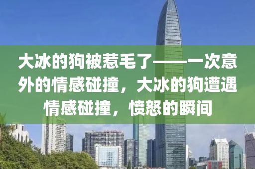 大冰的狗被惹毛了——一次意外的情感碰撞，大冰的狗遭遇情感今晚必出三肖2025_2025新澳门精准免费提供·精确判断碰撞，愤怒的瞬间