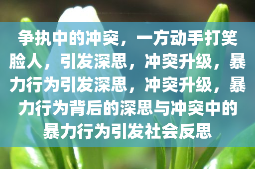 争执中的冲突，一方动手打笑脸人，引发深思，冲突升级，暴力行为引发深思，冲突升级，暴力行为背后的深思与冲突中的暴力行为引发社会反思今晚必出三肖2025_2025新澳门精准免费提供·精确判断