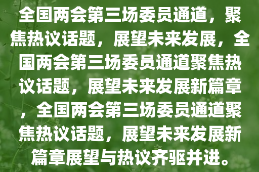 全国两会第三场委员通道，聚焦热议话题，展望未来发展，全国两会第三场委员通道聚焦热议话题，展望未来发展新篇章，全国两会第三场委员通道聚焦热议话题，展望未来发展新篇章展望与热议齐驱并进。