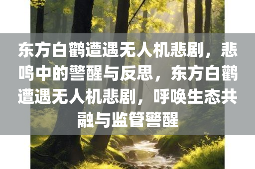 东方白鹳遭遇无人机悲剧，悲鸣中的警醒与反思，东方白鹳遭遇无人机悲剧，呼唤生态共融与监管警醒今晚必出三肖2025_2025新澳门精准免费提供·精确判断