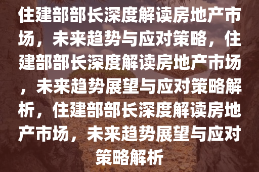 住建部部长深度解读房地产市场，未来趋势与应对策略，住建部部长深度解读房地产市场，未来趋势展望与应对策略解析，住建部部长深度解读房地产市场，未来趋势展望与应对策略解析
