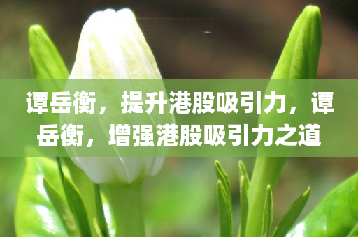 谭岳衡，提升港股吸引力，谭岳衡，增强港股吸引力之道