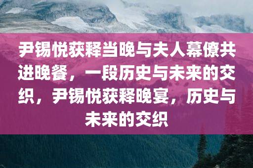 尹锡悦获释当晚与夫人幕僚共进晚餐，一段历史与未来的交织，尹锡悦获释晚宴，历史与未来的交织今晚必出三肖2025_2025新澳门精准免费提供·精确判断