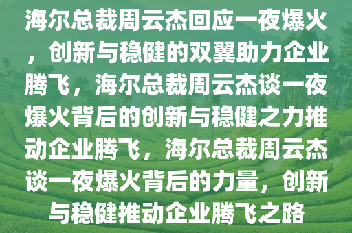 海尔总裁周云杰回应一夜爆火，创新与稳健的双翼助力企业腾飞，海尔总裁周云杰谈一夜爆火背后的创新与稳健之力推动企业腾飞，海尔总裁周云杰谈一夜爆火背后的力量，创新与稳健推动企业腾飞之路