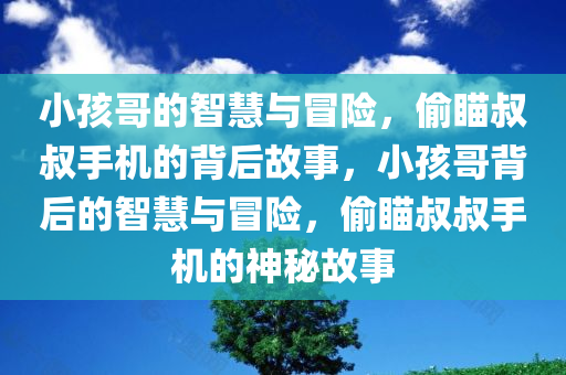小孩哥的智慧与冒险，偷瞄叔叔手机的背后故事，小孩哥背后的智慧与冒险，偷瞄叔叔手机的神秘故事