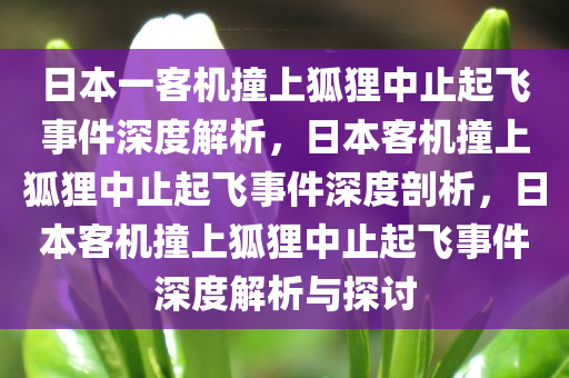 日本一客机撞上狐狸中止起飞事件深度解析，日本客机撞上狐狸中止起飞事件深度剖析，日本客机撞上今晚必出三肖2025_2025新澳门精准免费提供·精确判断狐狸中止起飞事件深度解析与探讨