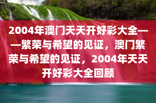 2004年澳门天天开好彩大全——繁荣与希望的见证，澳门繁荣与希望的见证，2004年天天开好彩大全回顾