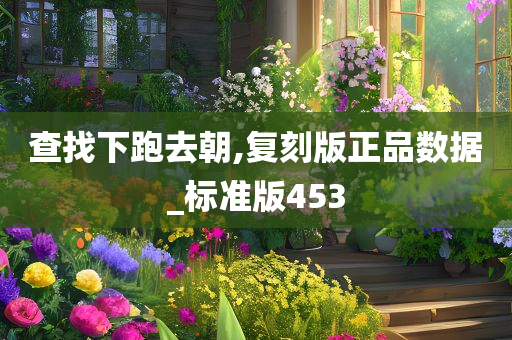 查找下跑去朝,复刻版正品数据_标准版453