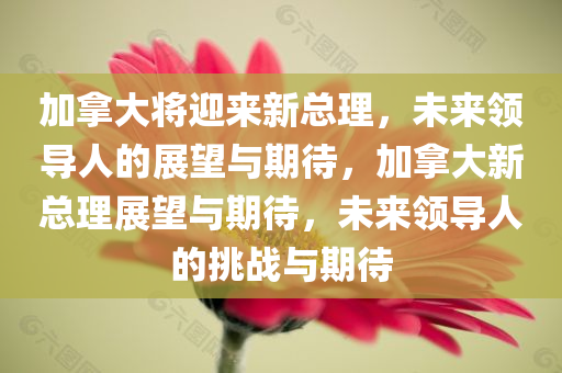 加拿大将迎来新总理，未来领导人的展望与期待，加拿大新总理展望与期待，未来领导人的挑战与期待