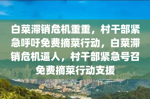 白菜滞销危机重重，村干部紧急呼吁免费摘菜行动，白菜滞销危机逼人，村干部紧急号召免费摘菜行动支援