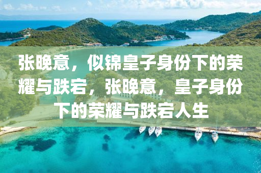 张晚意，似锦皇子身份下的荣耀与跌宕，张晚意，皇子身份下的荣耀与跌宕人生