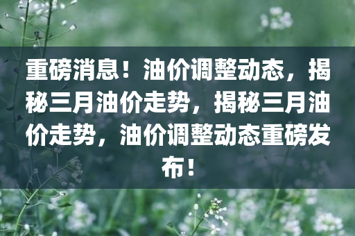 重磅消息！油价调整动态，揭秘三月油价走势，揭秘三月油价走势，油价调整动态重磅发布！