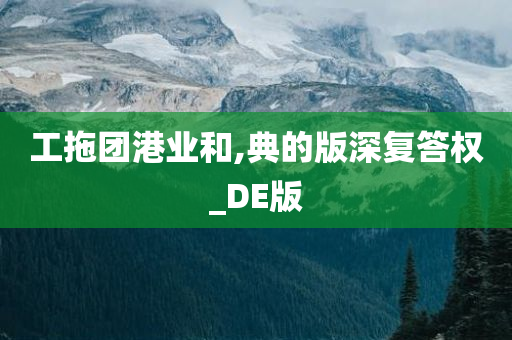 工拖团港业和,典的版深复答权_DE版
