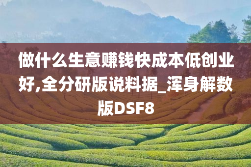 做什么生意赚钱快成本低创业好,全分研版说料据_浑身解数版DSF8