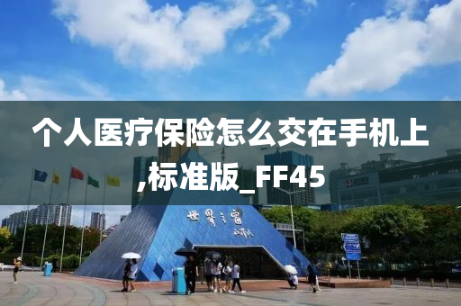 个人医疗保险怎么交在手机上,标准版_FF45
