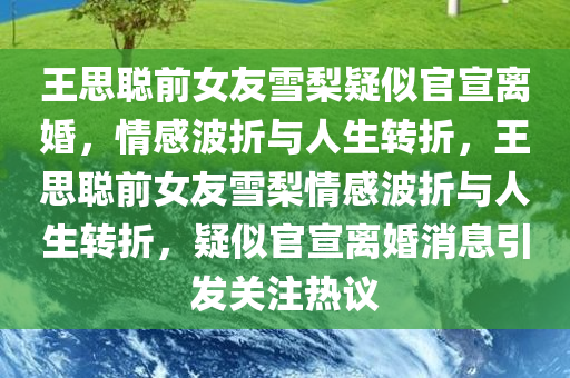 王思聪前女友雪梨疑似官宣离婚，情感波折与人生转折，王思聪前女友雪梨情感波折与人生转折，疑似官宣离婚消息引发关注热议