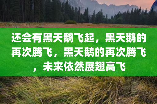 xieweiyuan 第3页