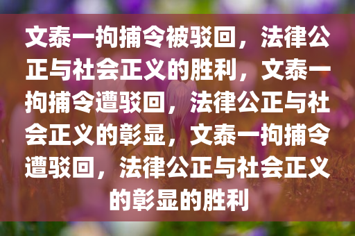 文泰一拘捕令被驳回，法律公正与社会正义的胜利，文泰一拘捕令遭驳回，法律公正与社会正义的彰显，文泰一拘捕令遭驳回，法律公正与社会正义的彰显的胜利