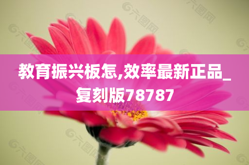 教育振兴板怎,效率最新正品_复刻版78787