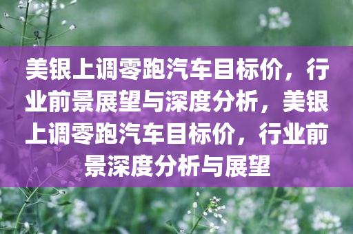 美银上调零跑汽车目标价，行业前景展望与深度分析，美银上调零跑汽车目标价，行业前景深度分析与展望