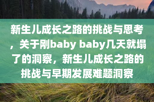 新生儿成长之路的挑战与思考，关于刚baby baby几天就塌了的洞察，新生儿成长之路的挑战与早期发展难题洞察