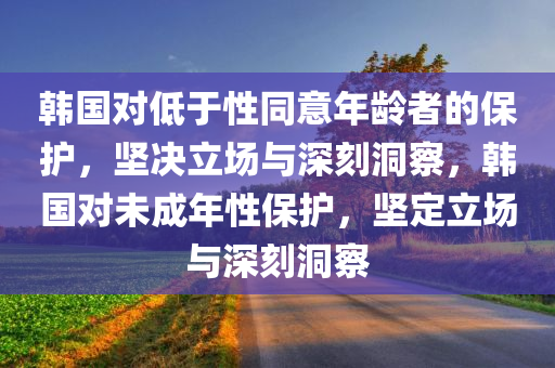 韩国对低于性同意年龄者的保护，坚决立场与深刻洞察，韩国对未成年性保护，坚定立场与深刻洞察