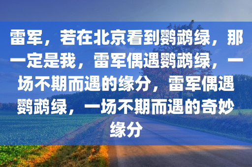 雷军，若在北京看到鹦鹉绿，那一定是我，雷军偶遇鹦鹉绿，一场不期而遇的缘分，雷军偶遇鹦鹉绿，一场不期而遇的奇妙缘分