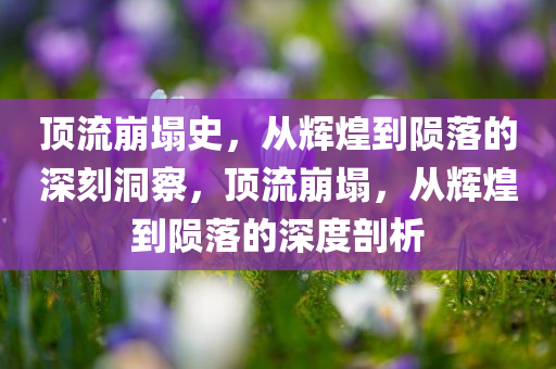susihan 第3页